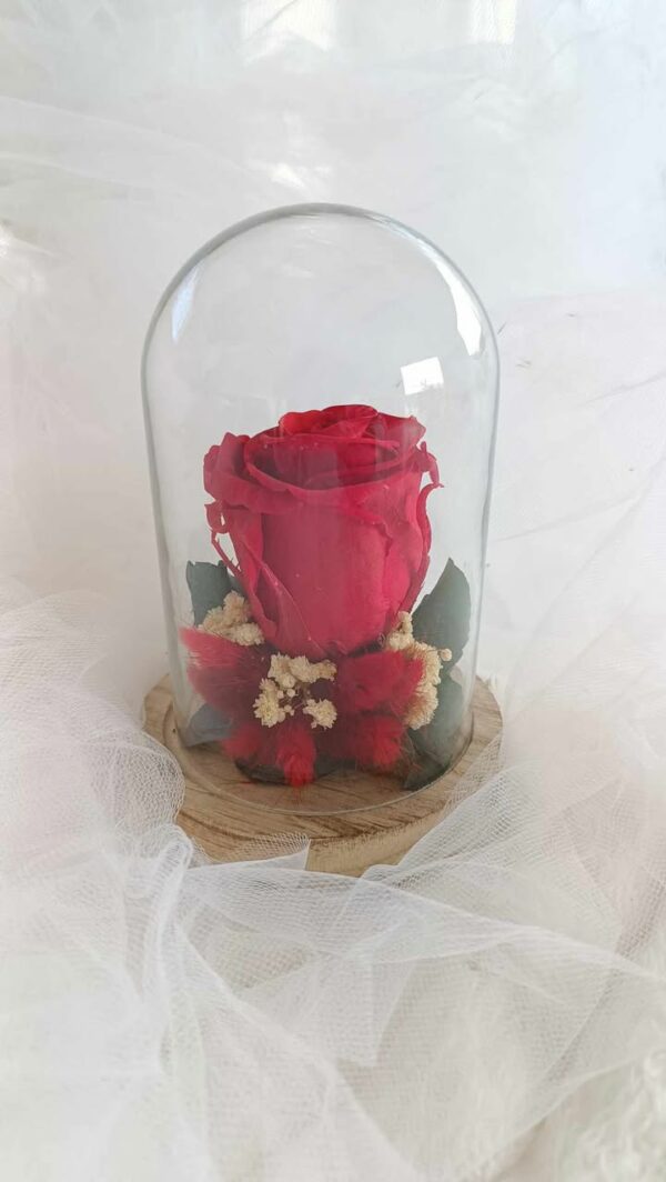 Cloche sous verre, mariage, St Valentin, Rose éternelle, Cadeau St valentin