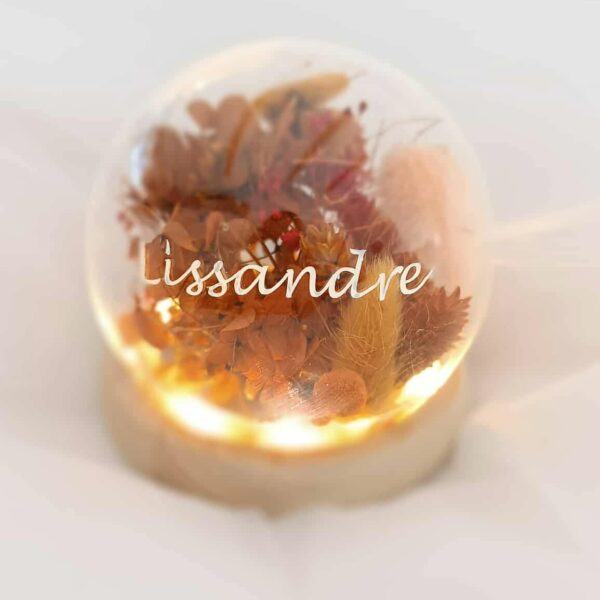 Veilleuse personnalisée, veilleuse en verre, veilleuse prénom enfant, fleurs séchées, décoration chambre enfant, cadeau naissance, lumière douce, veilleuse unique, cadeau personnalisé, veilleuse design.